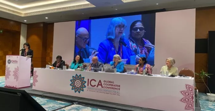 ICA Session - Cooperative provision of care