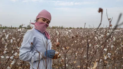 Uzbek woman in a cotton field